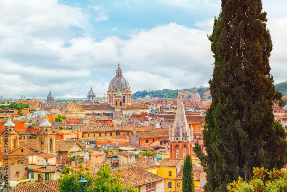 Naklejka premium View of the city of Rome from above, from the hill of Terrazza del Pincio. Italy.