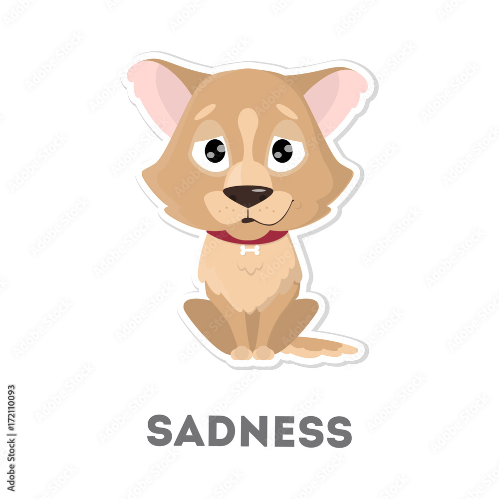 Isolated sad dog. Isolated sad dog.
