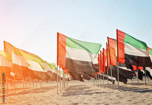 Celebration of National Day - Day of the United Arab Emirates, Large number of flags of the United Arab Emirates on the sand, toned photo