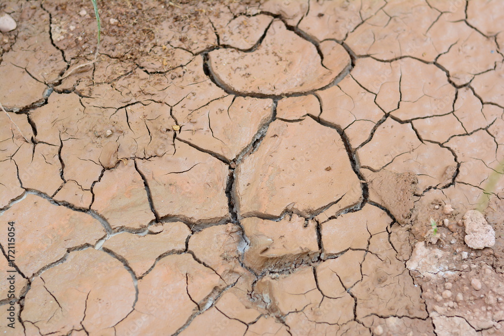 the cracked brown soil caused from arid reason the cracked brown soil caused from arid reason