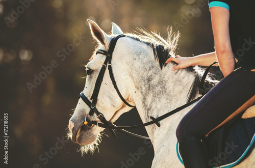 Horsewoman rider stroking horse mane
