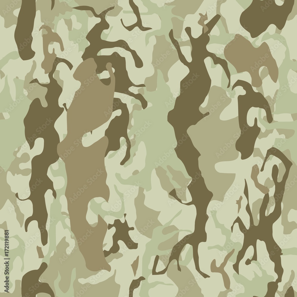Camouflage Camouflage