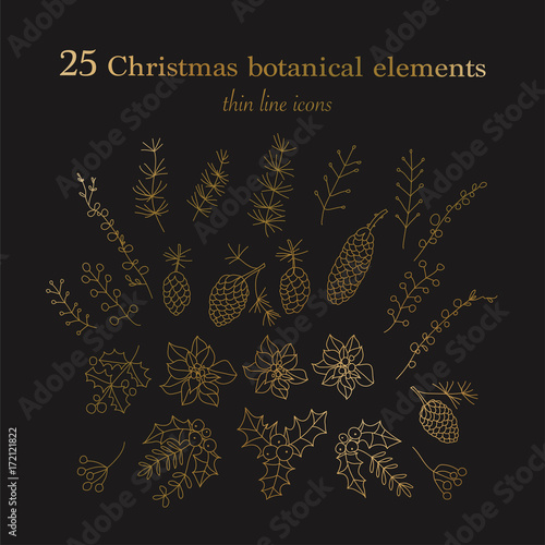 Set of 25 Christmas botanical symbols.