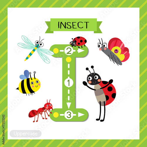 Letter I uppercase cute children colorful zoo and animals ABC alphabet tracing flashcard of Insects for kids learning English vocabulary and handwriting vector illustration.