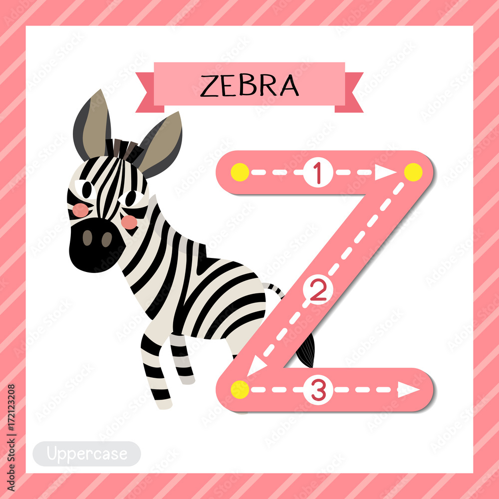 Letter Z uppercase cute children colorful zoo and animals ABC alphabet  tracing flashcard of Zebra for kids learning English vocabulary and  handwriting vector illustration. Stock Vector | Adobe Stock