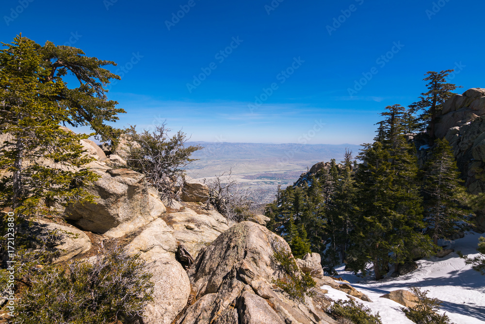View of Palm Springs from San Jacinto Mountain, Riverside County, California, USA View of Palm Springs from San Jacinto Mountain, Riverside County, California, USA