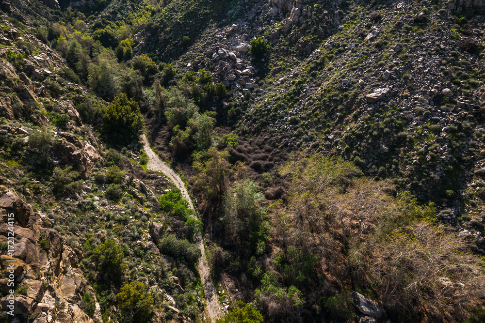 San Jacinto Mountain, Riverside County, California, USA San Jacinto Mountain, Riverside County, California, USA