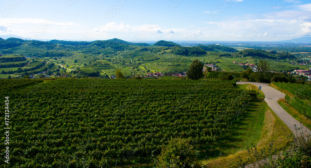 Blick von der Mondhalde im Kaiserstuhl Blick von der Mondhalde im Kaiserstuhl