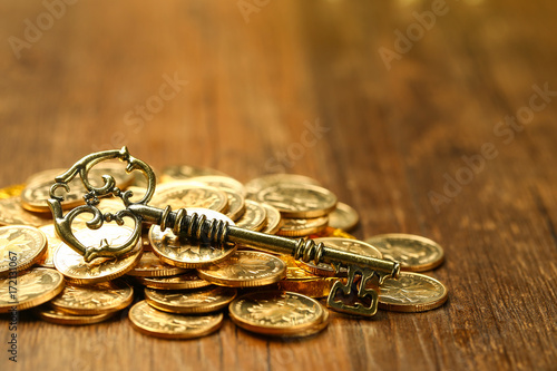 vintage golden key on golden coins