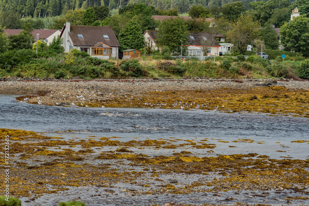 scenery of Scotland's Highland Scotland island scenery of Scotland's Highland Scotland island