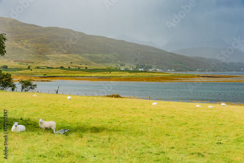 scenery of Scotland s Highland Scotland island