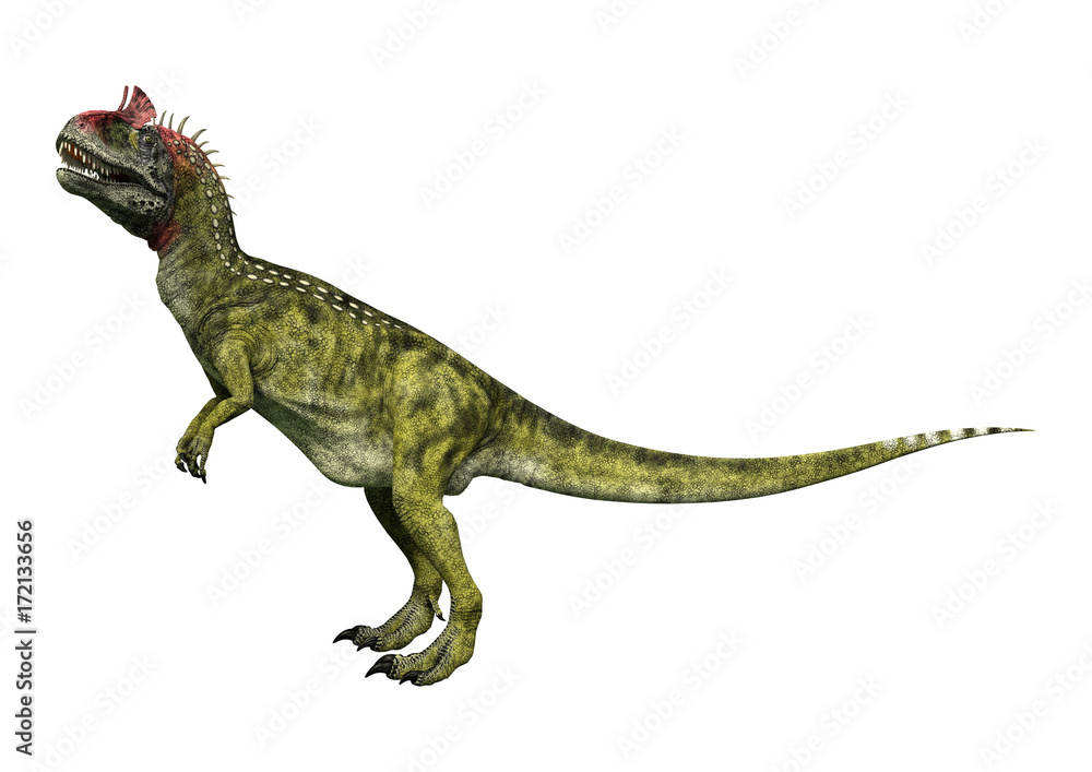 3D Rendering Dinosaur Cryolophosaurus on White 3D Rendering Dinosaur Cryolophosaurus on White