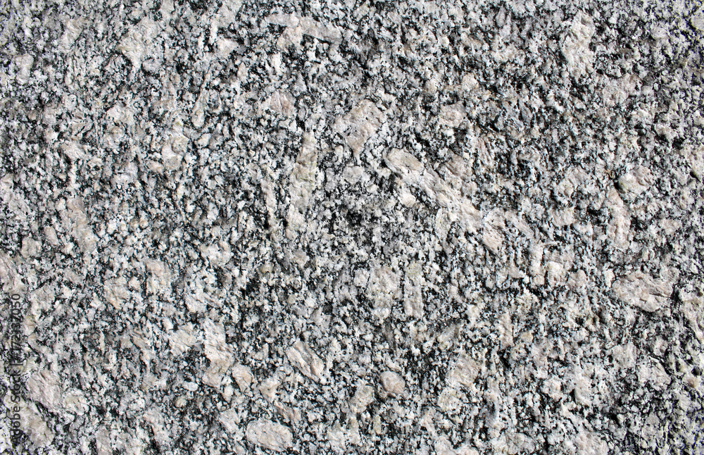 Ghiandone decorative rock (detail of the surface) Ghiandone decorative rock (detail of the surface)