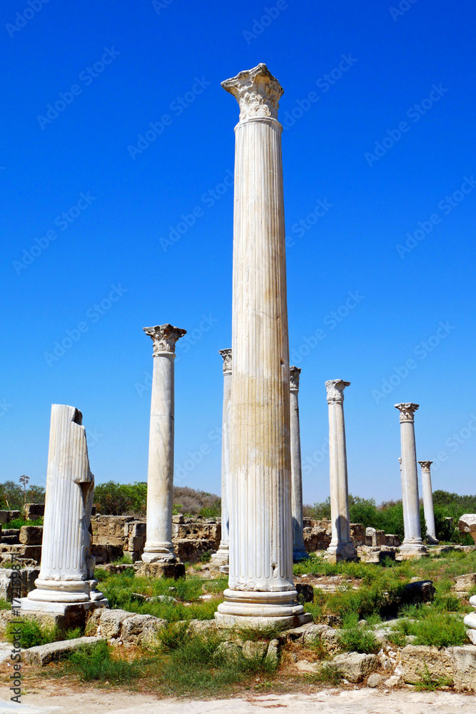 Romans ruins of the city of Salamis, near Famagusta, Northern Cyprus.