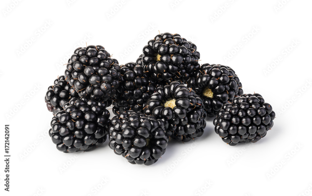 blackberry blackberry