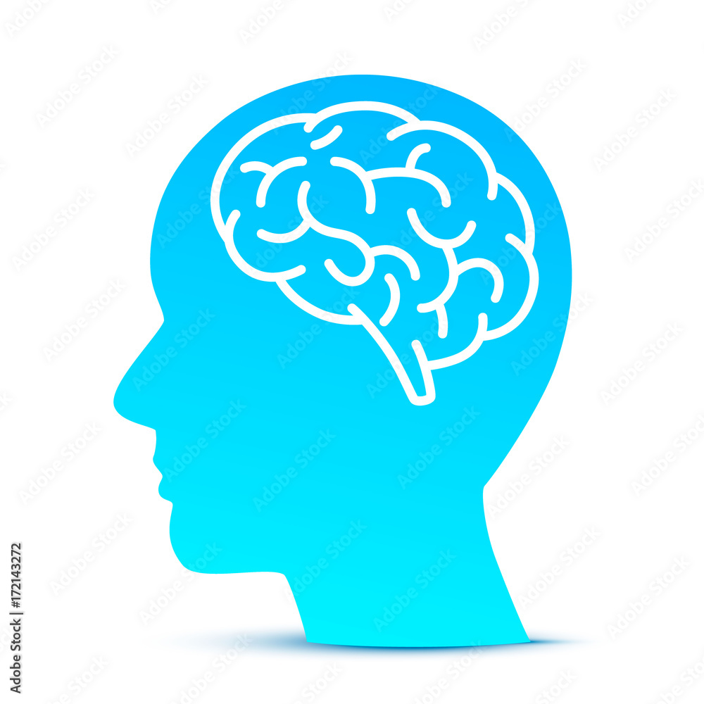 Silhouette head with the brain on the blue background. Vector illustration