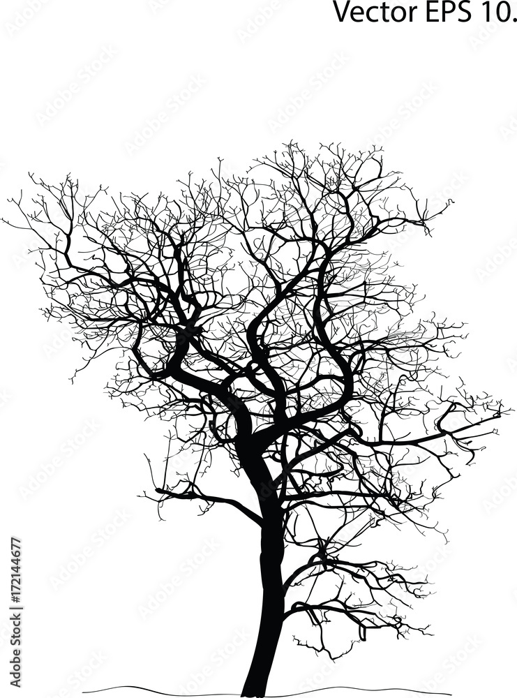 Dead Tree without Leaves Vector Illustration Sketched, EPS 10. Dead Tree without Leaves Vector Illustration Sketched, EPS 10.