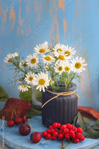 a small bouquet of field chamomiles in a blue glass vase with the scallops of a red mountain ash on the deer's table