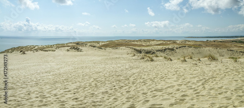 Sand dunes in Nida during the summer panorama