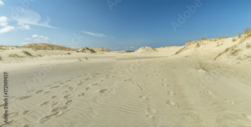 Sand Dune panorama