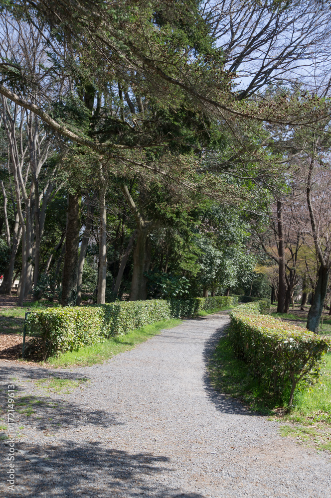 Gravel road of park in Kyoto,Japan.