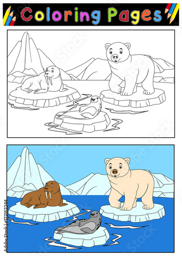 Arctic animals for coloring book 