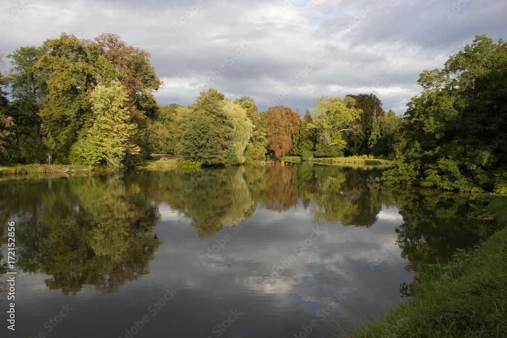 A pond with trees