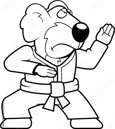 Karate Koala