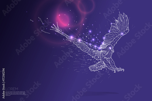 The particles line and dot of eagle flying.