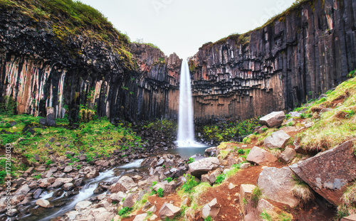 Great view of Svartifoss waterfall. Dramatic and picturesque scene. Popular tourist attraction. Iceland