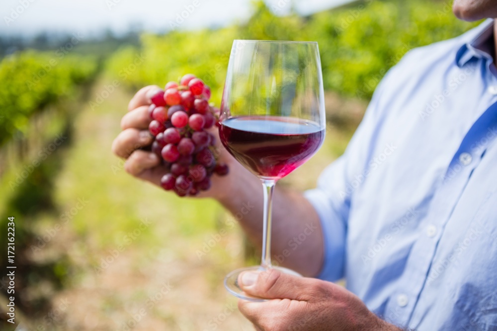 Mid section of vintner holding grapes and glass of wine