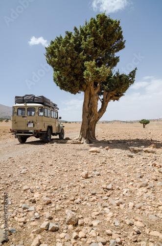 4wd offroad vehicle on rocky track with single tree, Cirque de Jaffar, Atlas Mountains, Morocco photo