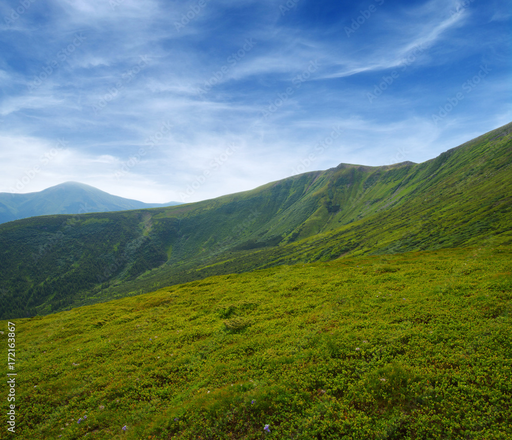 Mountain landscape in summer Mountain landscape in summer