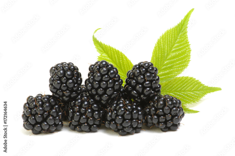 Blackberries with leaves Blackberries with leaves