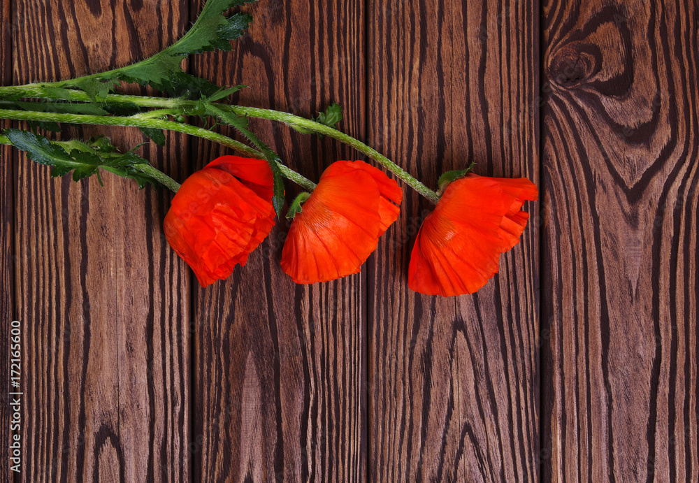 Red poppy on wood Red poppy on wood