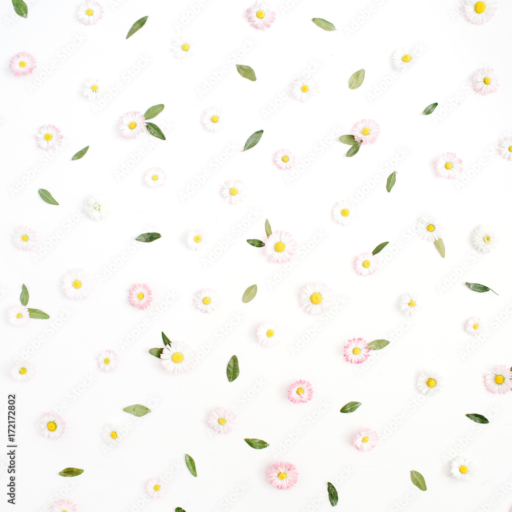 Floral pattern made of white and pink chamomile daisy flowers, green leaves on white background. Flat lay, top view. Daisy background. Pattern of flower buds.