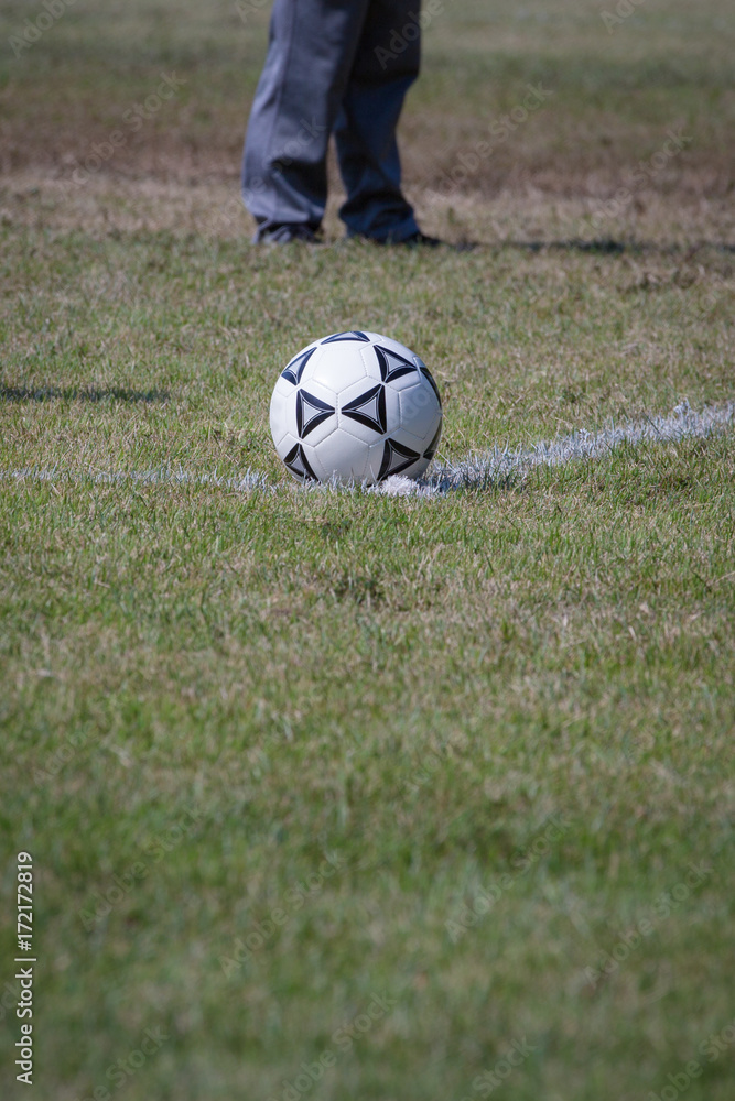 Fototapeta premium soccer ball