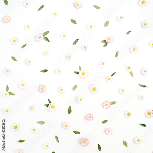 Floral pattern made of white and pink chamomile daisy flowers, green leaves on white background. Flat lay, top view. Daisy background. Pattern of flower buds.