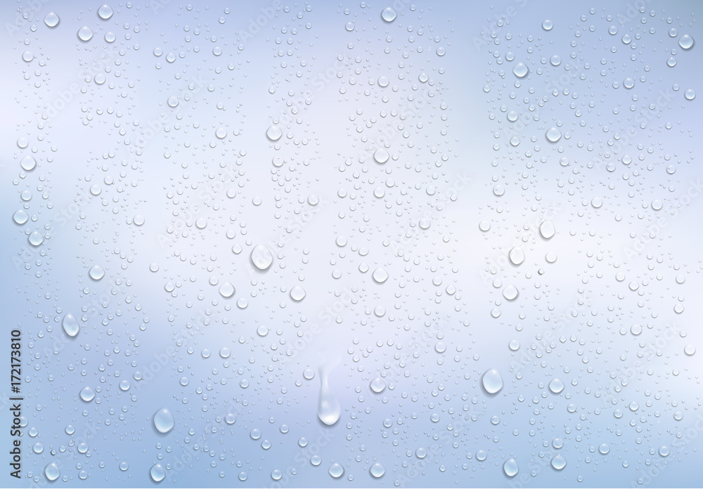 Realistic water droplets on the transparent window. Vector Realistic water droplets on the transparent window. Vector