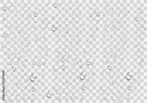 Realistic water droplets on the transparent background. Vector Fotobehang