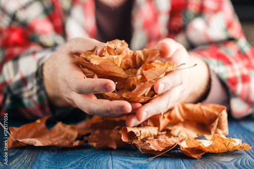 Heap of autumn leaf in hands photo