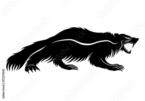 Wolverine animal.