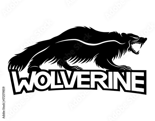 Wolverine animal.