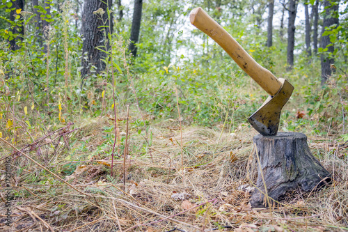 Ax thrust into the stump in the woods