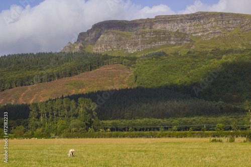 The majestic Binevenagh mountain summit near Limavady in County Londonderry on the North Coast of Northern Ireland photo