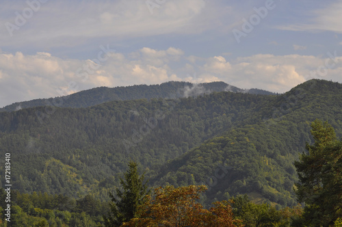 Mountains covered with green trees © savanno