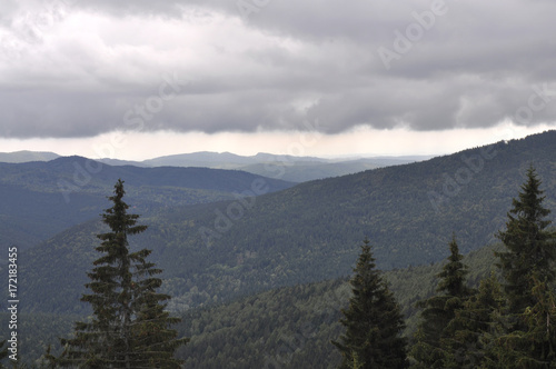 Mountains covered with green trees