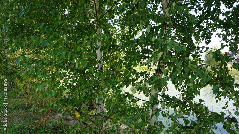 Nature in the countryside Nature in the countryside