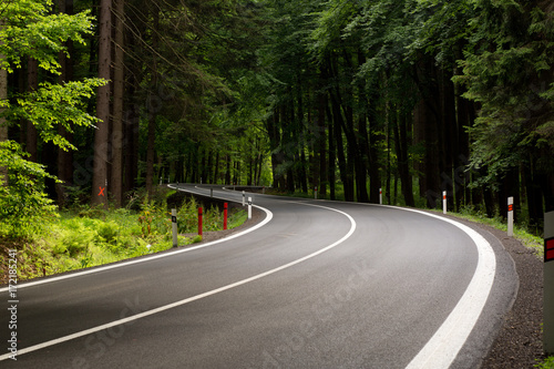 Summer winding road in forest