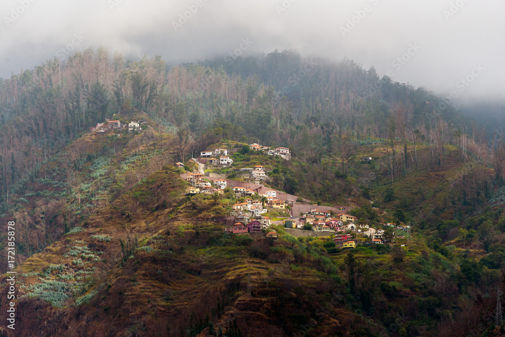 Fototapeta premium houses on the steep slopes of the city of Funchal, capital of the Portuguese island of Madeira